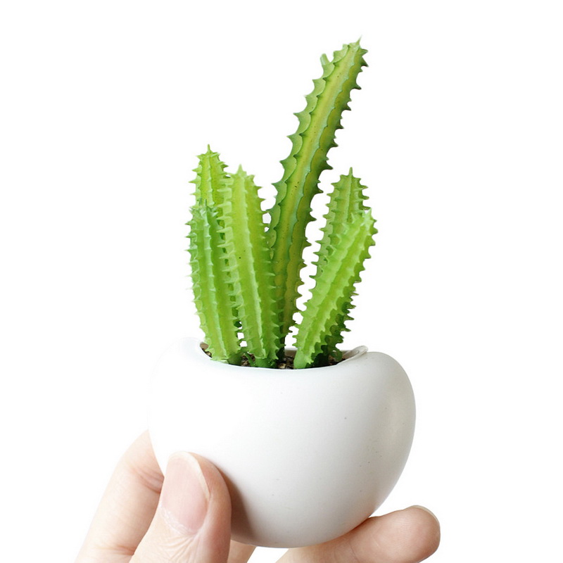 3d nevera pegatina magnético planta suculenta adhesivo con imán para nevera ramo flor nevera maceta pegatina de planta para casa decoración de la pared: C