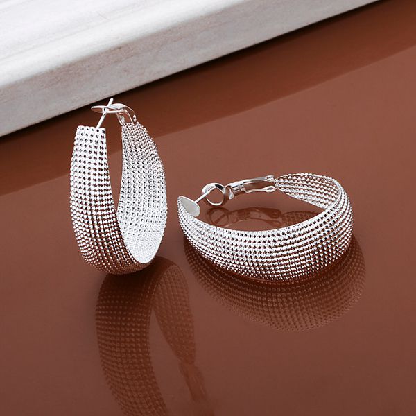 verzilverd Earring voor Vrouwen 925 sieraden verzilverd Voor Vrouwen Web Oorbellen E064/ZVXRODICE064