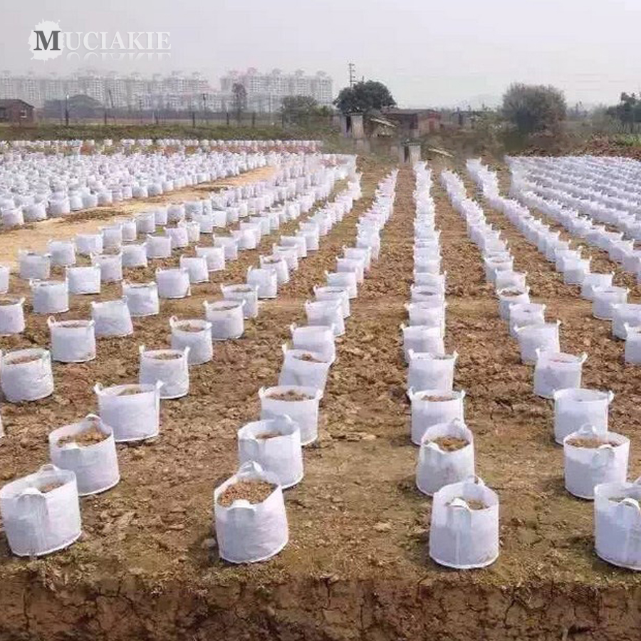 MUCIAKIE Tree Root Control Bags Non Woven Fabric Flowers Tree Seedling Bags Planting Grow Green Bag Container Pots Garden