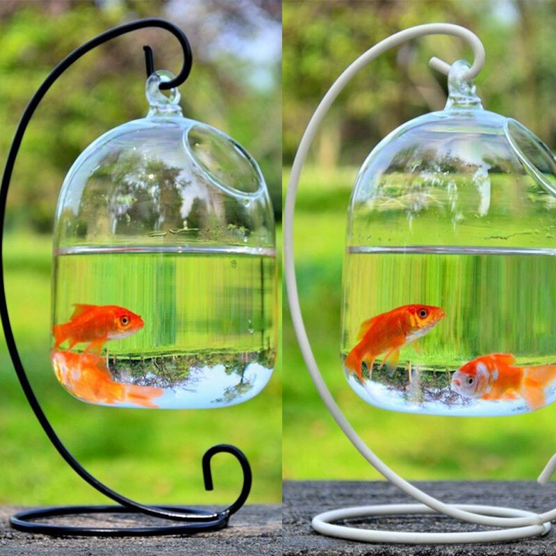 Hängande glas vas akvarium svart hylla guldfisk tank tillbehör