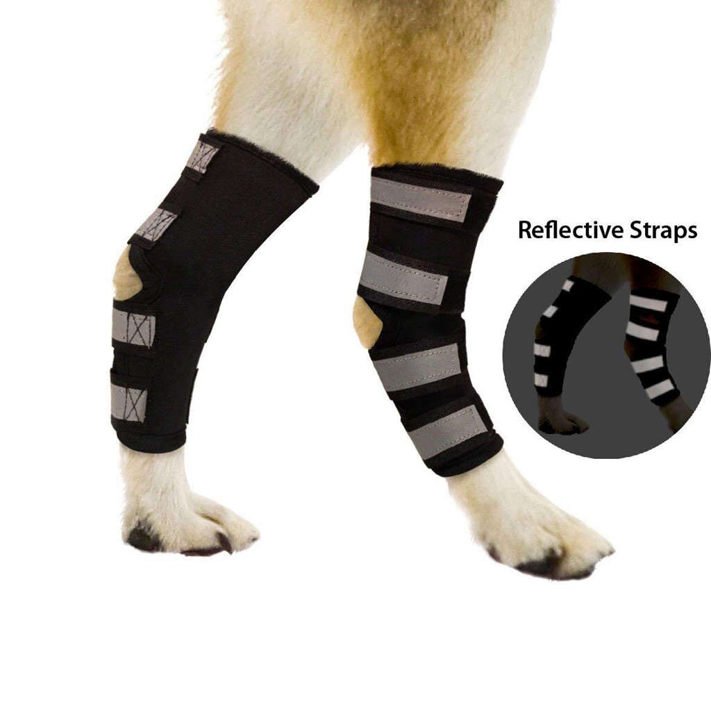 Par de perneras traseras para perro, manguitos de corvejón con cintas reflectantes para lesiones y protección para esguinces, cicatrización de heridas