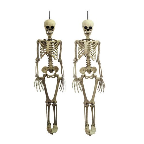 US Halloween Poseable Life Size Skeleton Party Prop Decor Human Anatomy Model