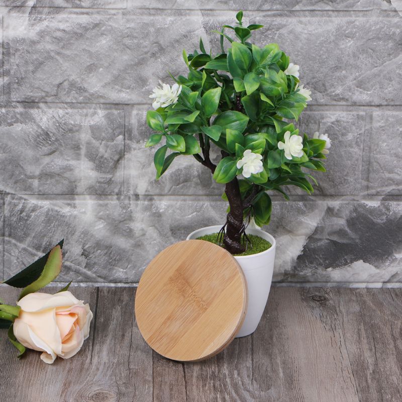 Rond bambou bois soucoupe plante plateau Mini plante Pot de fleur support faveur Succulent Pot plateau Simple maison balcon déco
