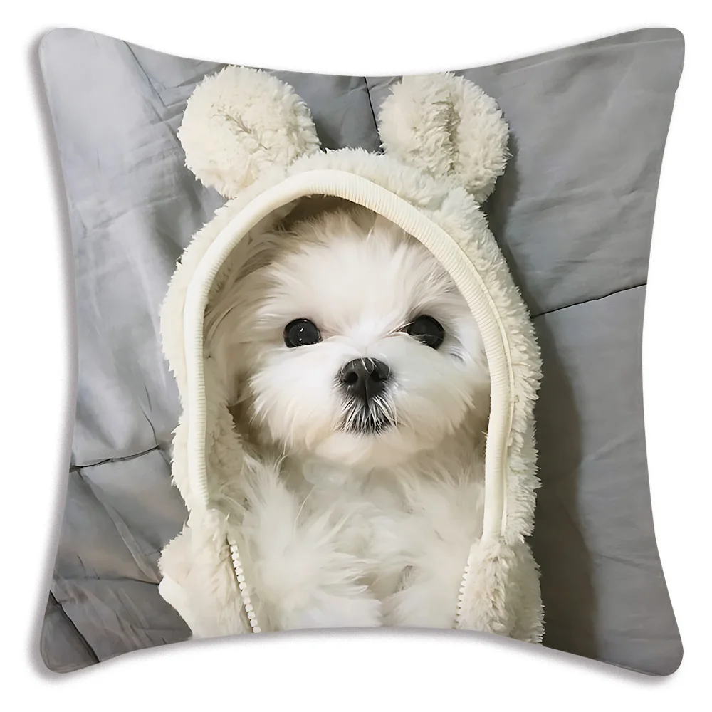 Fodere per cuscini per cani carini Divano dei cartoni animati Federa decorativa per la casa Stampa Fodera per cuscino carina