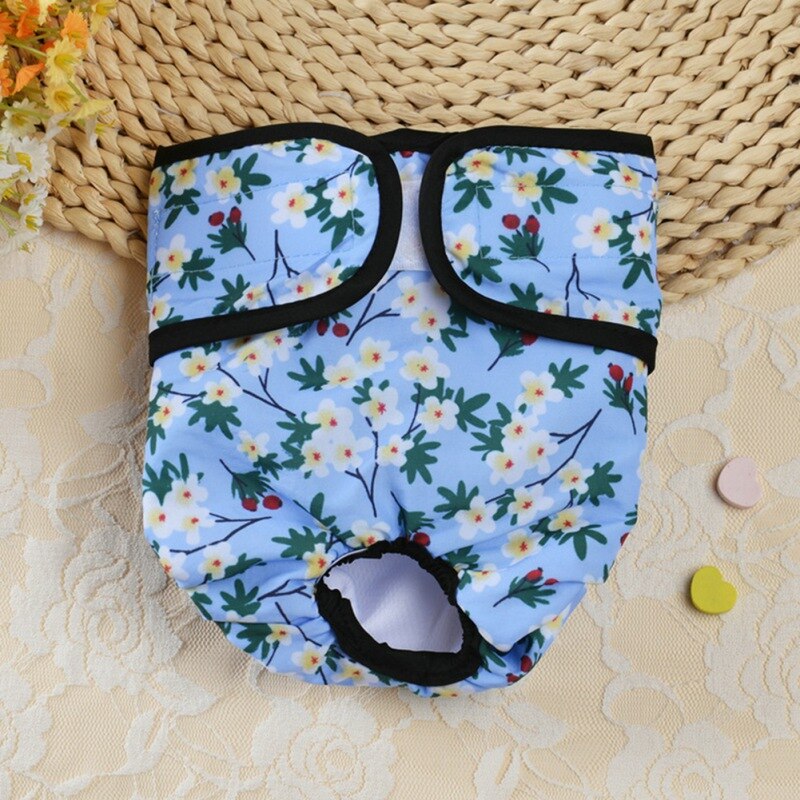 Couche-culotte physiologique pour chien, culotte pour chien, sous-vêtements pour chiens, fournitures pour animaux de compagnie,: QL / L