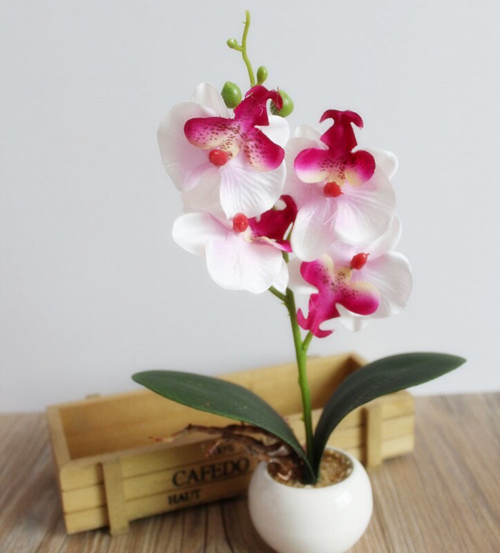 Arranjo com Vaso Decorativo Artificial Bonsai Flor Da Orquídea Phaleanopsis: A