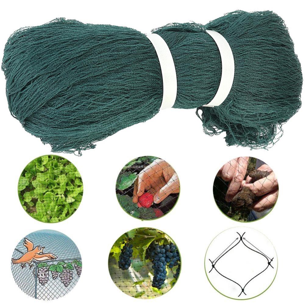 Filet Anti-oiseau serre potager arbre fruits maille filet évent couverture