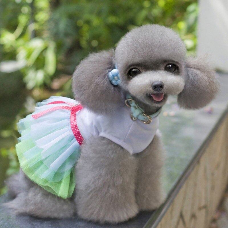 Sweet Dog Dresses For Small Dogs Lace Tutu Dress Puppy Dress Trendy Bowknot Dog Princess Dress Cute Pet Supplies