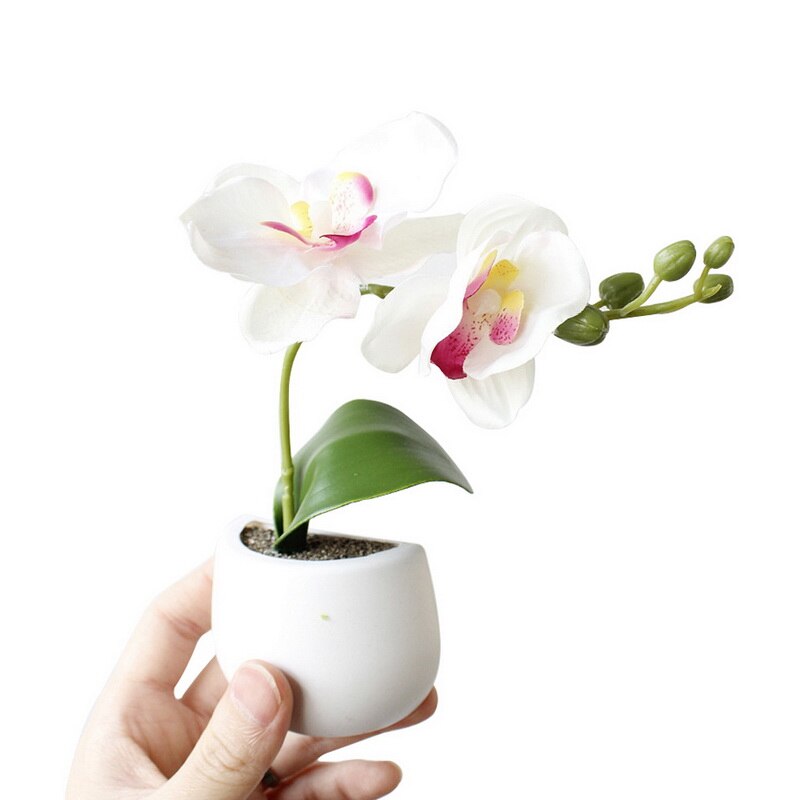 Etiqueta engomada del refrigerador ramo de flores suculentas planta de nevera imán magnético maceta planta para la decoración de la pared del hogar: Phalaenopsis