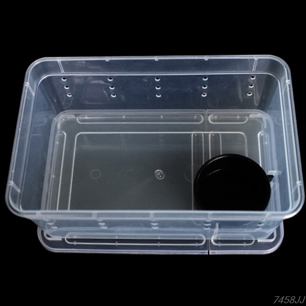 Terrarium pour reptiles, boîte en plastique transparente, Transport d&#39;insectes, élevage d&#39;aliments vivants, boîte d&#39;alimentation G03