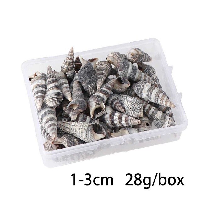 100 PCS Boxed Natural Conch Shells Mini Conch Corn Screw Wall Decoration DIY Aquarium Landscape Seashells Jewelry DIY Craft: Burgundy