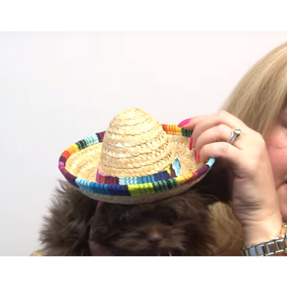 Kjæledyr stråhatt sombrero lue meksikanske hatter dekorativ festhatt for katt hund små kjæledyr hunder hawaii stil lue for hunder tilbehør