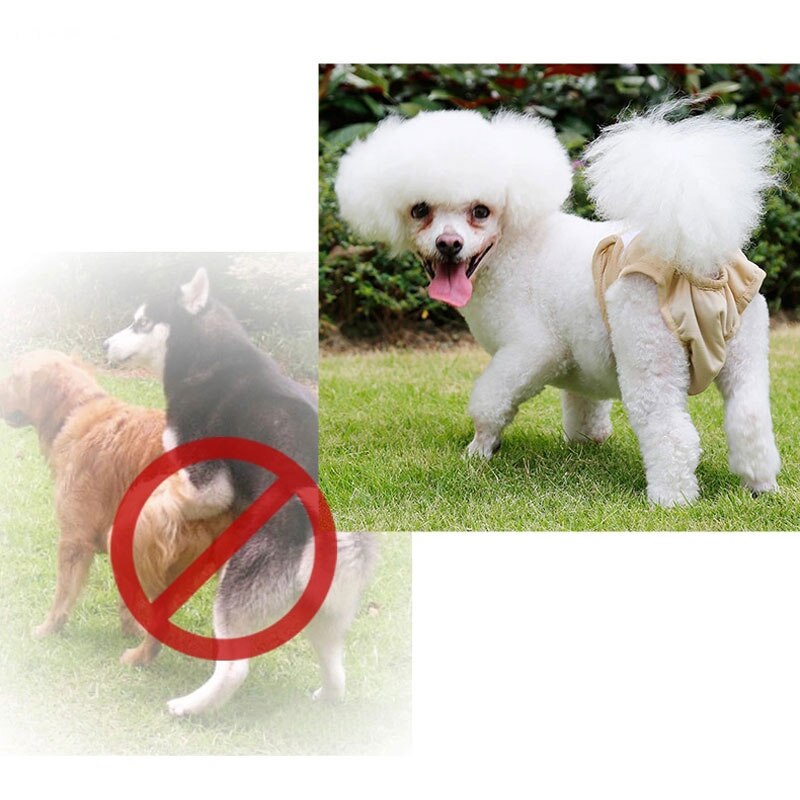 Wasbare luiers voor teefjes, ondergoed voor huisdieren, herbruikbare maandverbanden tegen intimidatie