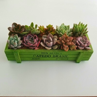 Maceta decorativa Vintage para plantas de jardín, cajas de madera suculentas, mesa rectangular, dispositivo de jardinería, color rosa y negro, novedad: Verde