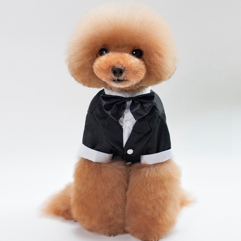 Stilfuldt kæledyrsdragt slips kæledyr formelt tøj gentleman svalehalet jakke mandlige jakkesæt kæledyr hund brudekjoler del