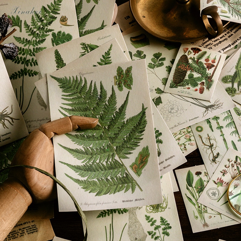 Xinaher 60 st / väska vintage fjäril fern växter fågel papper klistermärke dekoration klistermärken diy dagbok scrapbooking etikett klistermärke