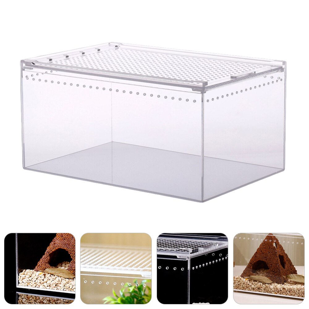 Nido de reptiles acrílico duradero, caja de alimentación práctica, suministros para reptiles, nido para cría de árboles, Rana, lagarto, camaleón, 1 unidad