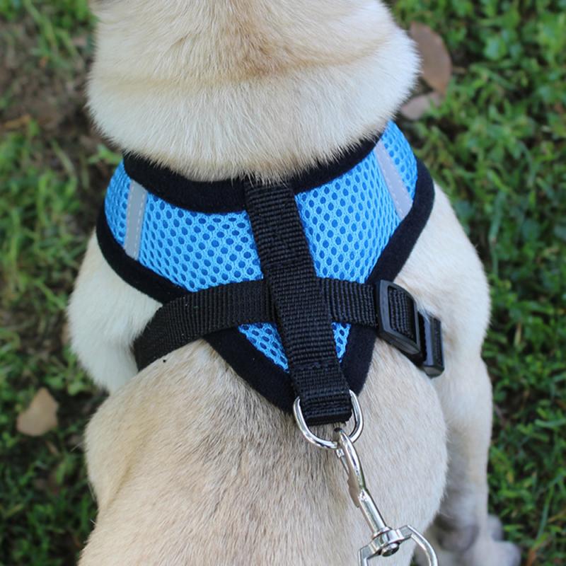 Pet Dog Harnesses Vest Small Dog Chain Teddy Vest Puppies Chest Strap Breathable Mesh Harness Leash For Dogs Outdoor Walking