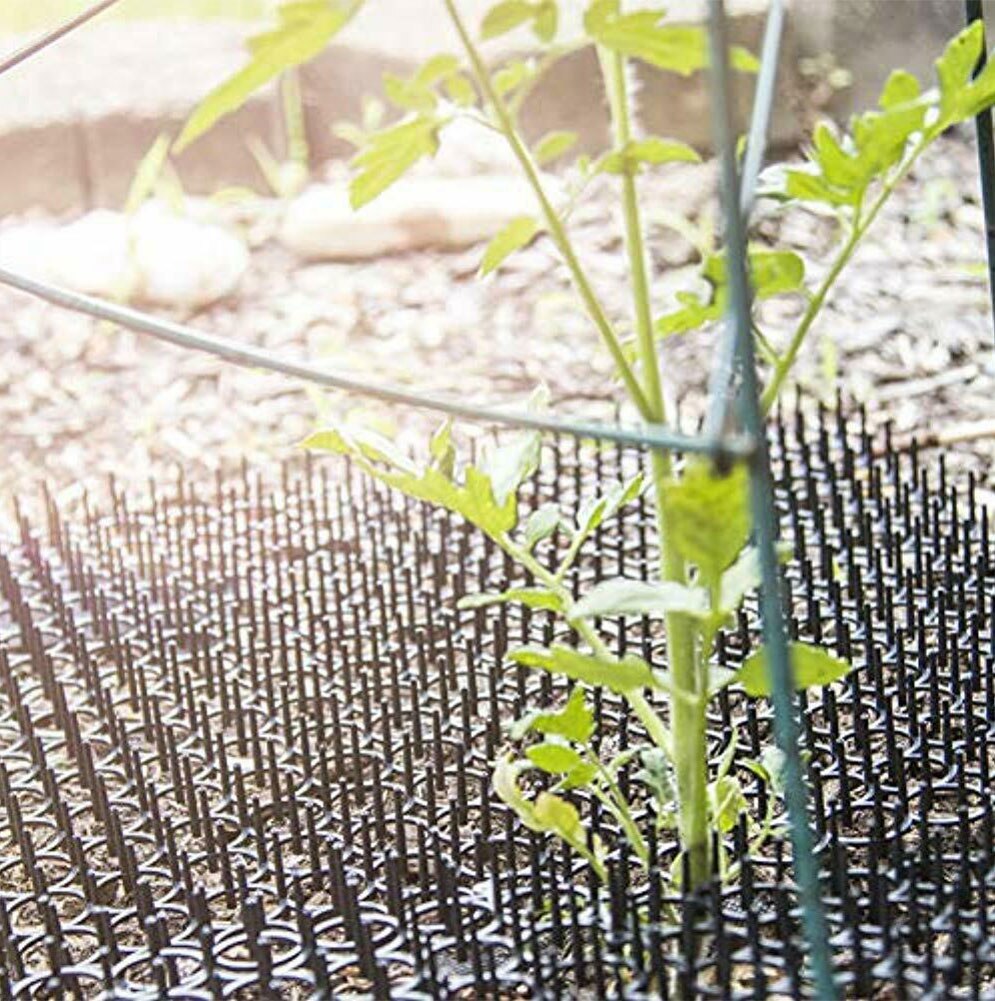 Katze skat matt Innen skat matt Mit Spikes draussen Garten Und Zaun Katzen Stopper Netzwerk Für Katzen Hund Graben abschreckung