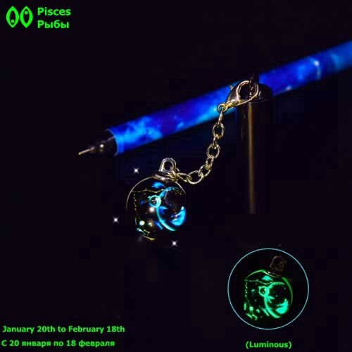 Creatieve Lichtgevende Pen 12 Constellation Zodiak Teken Horoscoop Astrologie Gel Pen Voor School Schrijven Kawaii Pennen Briefpapier: Pisces