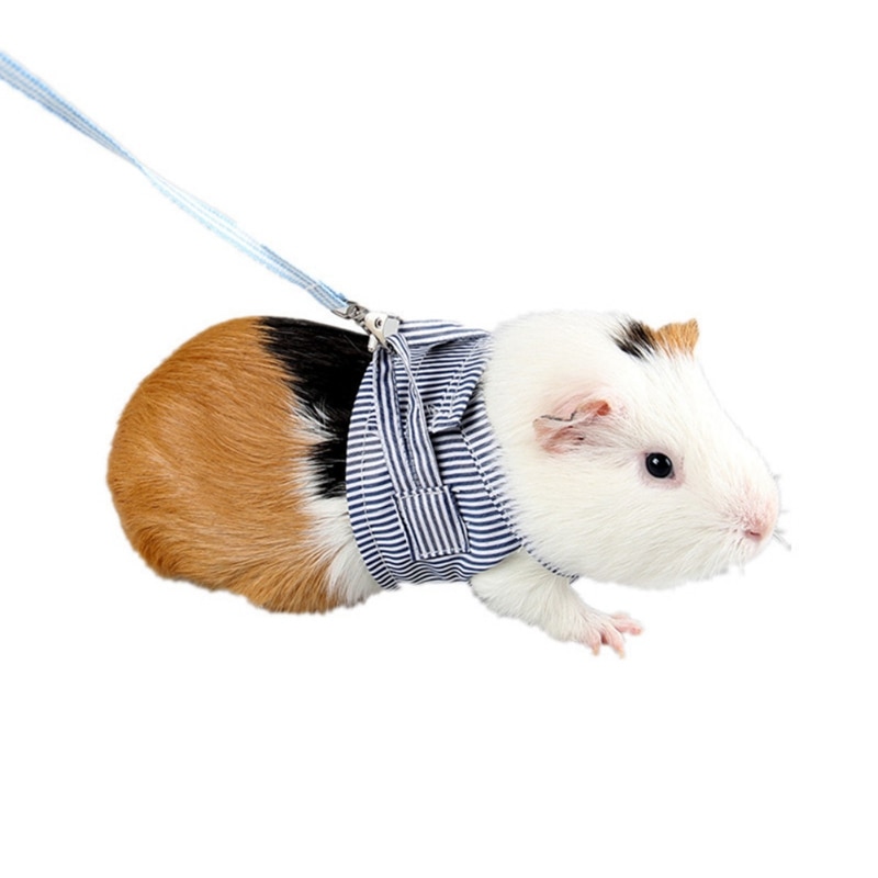Gris hamster vest sele med snor brystbælte seler ilder guinea små dyr kæledyr tilbehør s / l