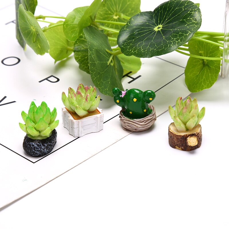 4/5 sztuk mini drzewo doniczkowe kaktus mięsiste roślin domek dla lalek dekoracja zewnętrzna mikro