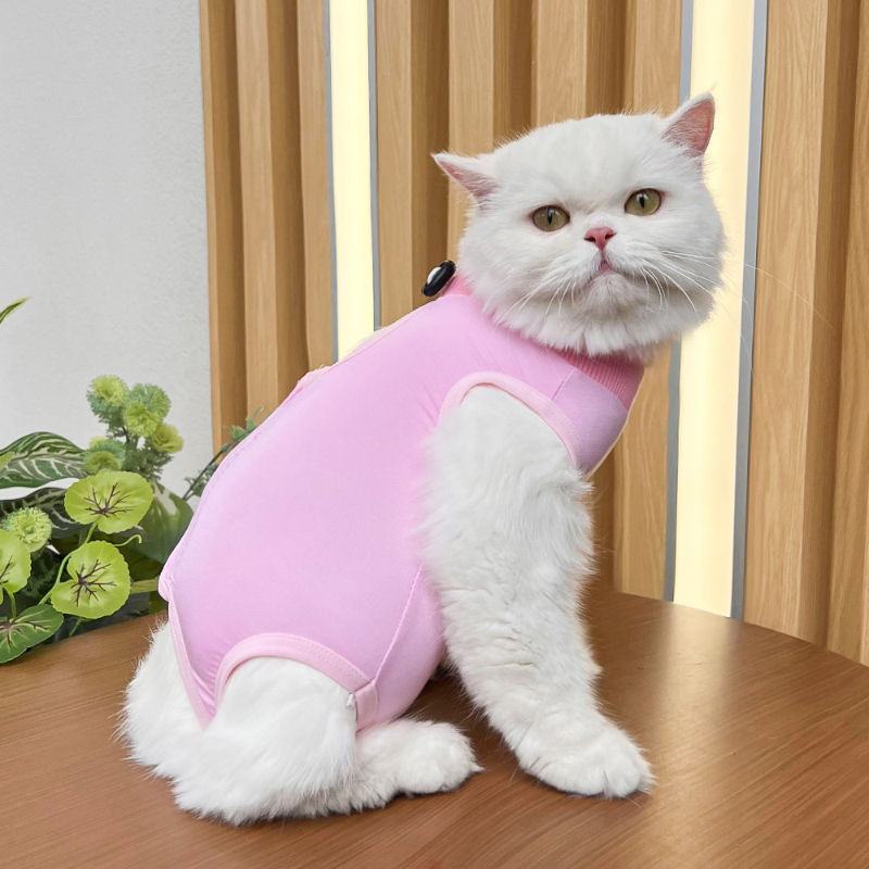 Gatos cirurgia recuperação terno para pequeno médio cão gato colete camisa para animais de estimação pijama macio após cirurgia usar roupas de recuperação anti lambendo: S / Rosa