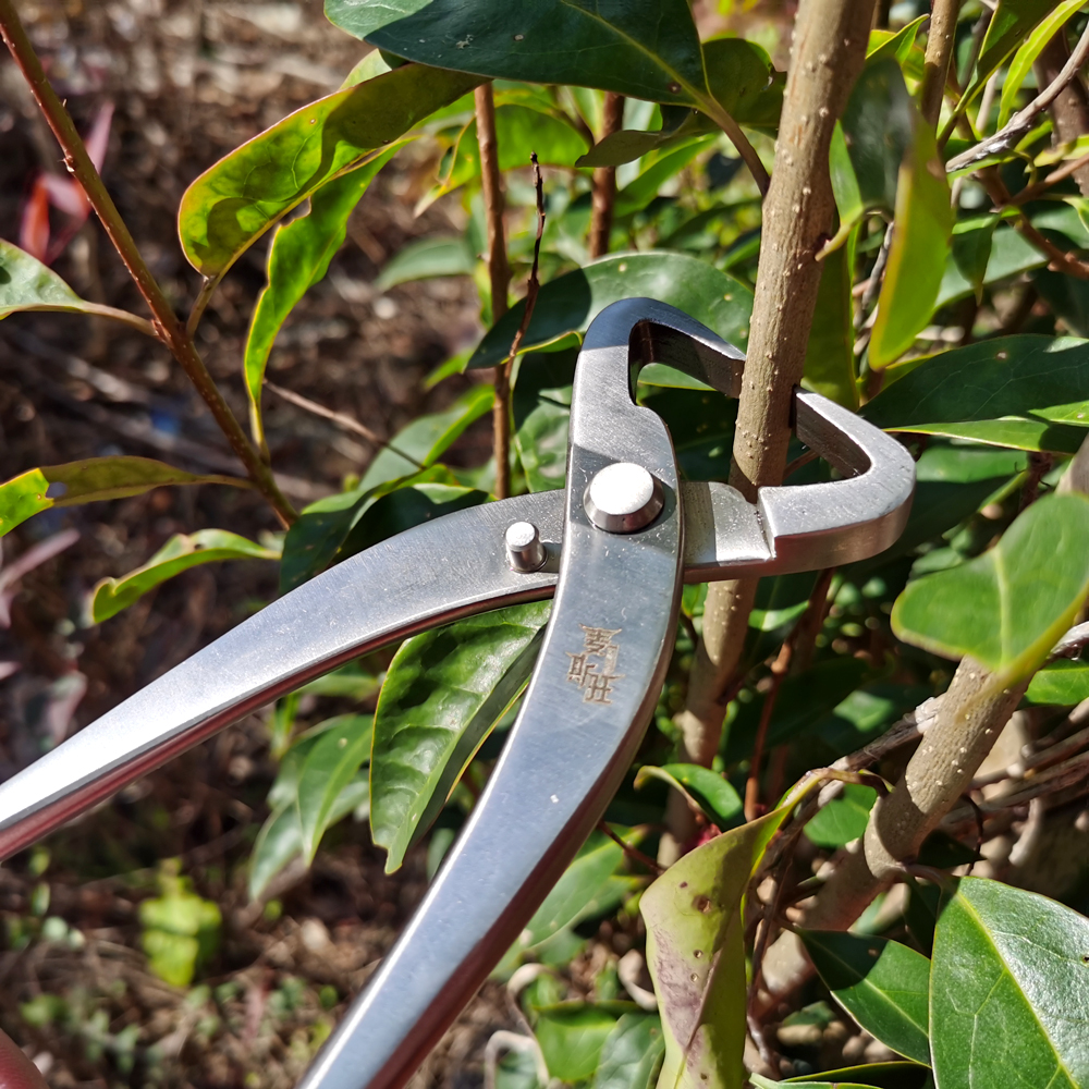 Herramienta de corte de poda de bonsái de acero inoxidable, tijeras para plantas y árboles, cortador de alambre para herramientas de poda de jardín