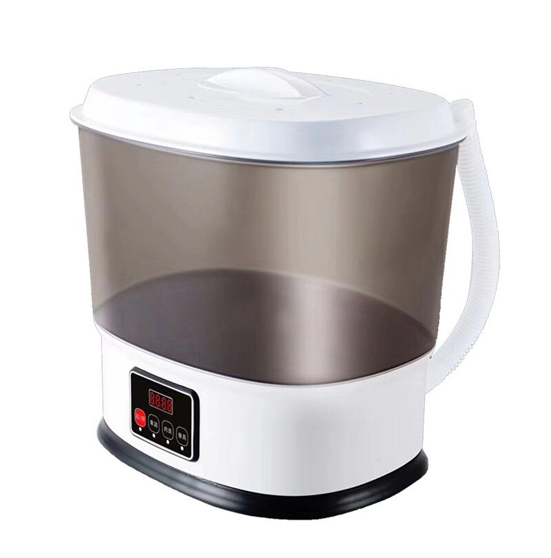 Fruit And Vegetable Washing Machine Household Vegetable Washing Machine Fruit And Meat Purification ozone function food material