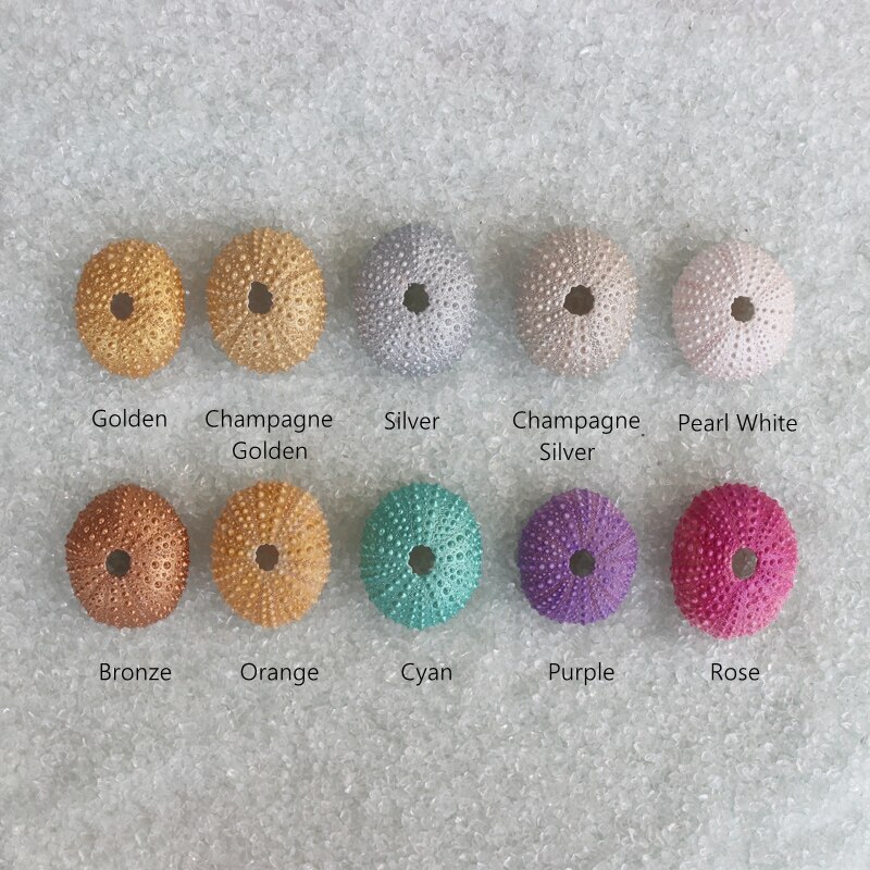 (10 stuks/partij )10 parelmoerkleuren kleine zee-egel natuurlijke schelp conch strand bruiloft decoratie kust huisdecoratie
