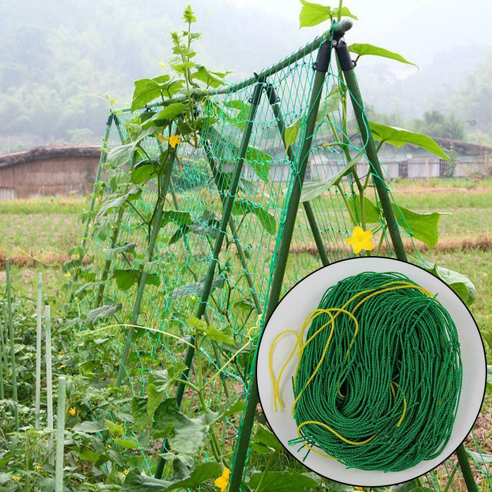 Diy Vertical red para jardín pepino enrejado de malla de frutas de vid neto guisantes para los jardineros cama decoración flor escalada planta