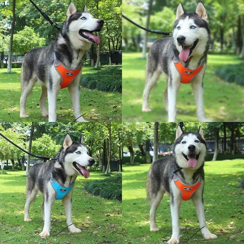 Dog Harness Vest Breathable No Pull Dog Training Harness Adjustable Reflective Harness small dog Pug Labrador Walking Training