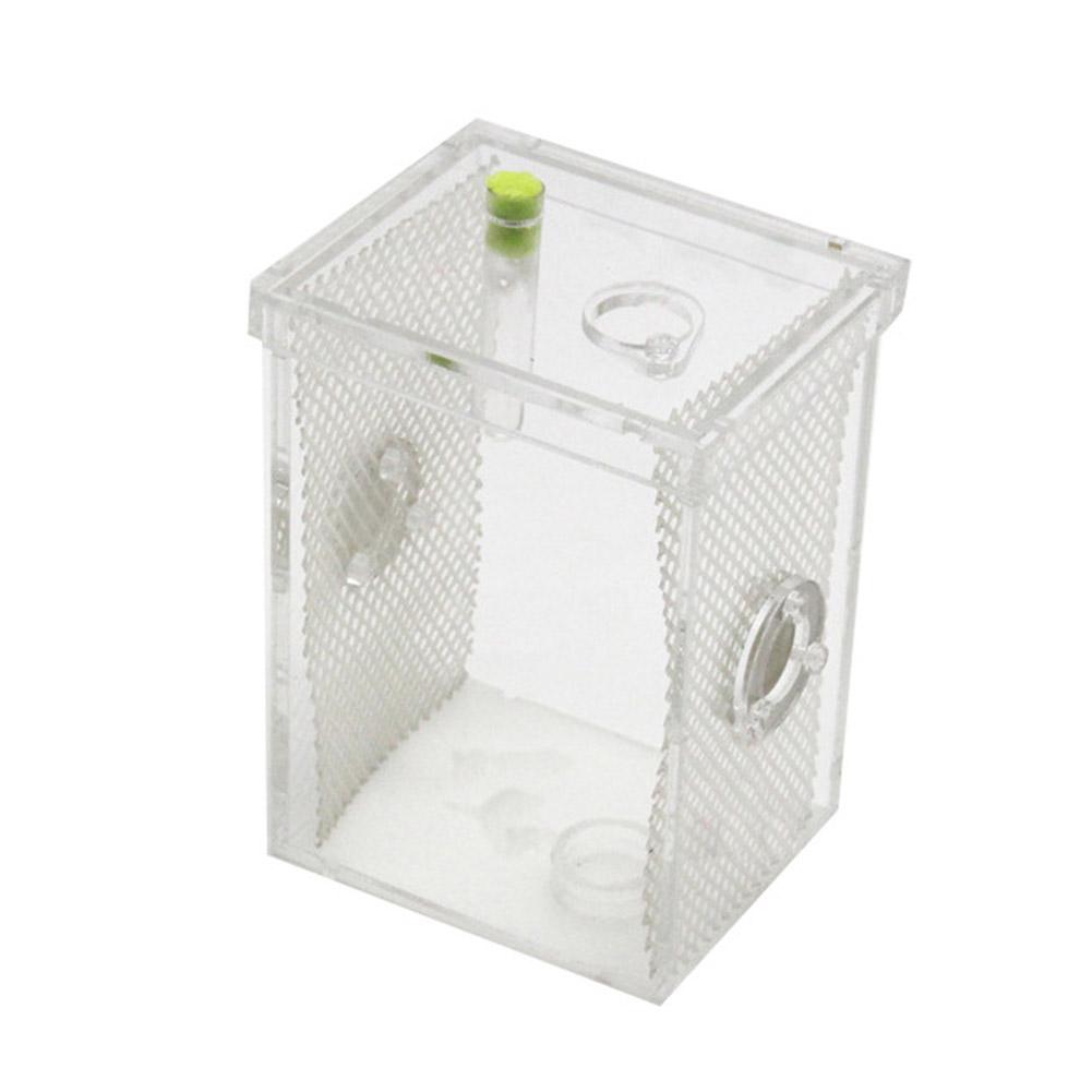 Reptile Breeding Box Acrylic Transparent Sliding Cover Reptile Tank Insect Spiders Tortoise Lizard Feeding Box Terrarium: 10.7X8.7X14.5cm
