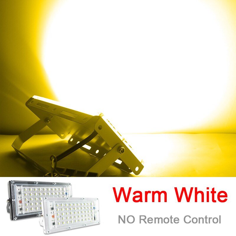 LED Flood Light 50W 100W RGB Led Floodlight Remote control COB chip LED street Lamp AC220V 240V waterproof IP65 outdoor Lighting: Warm White / Black Shell