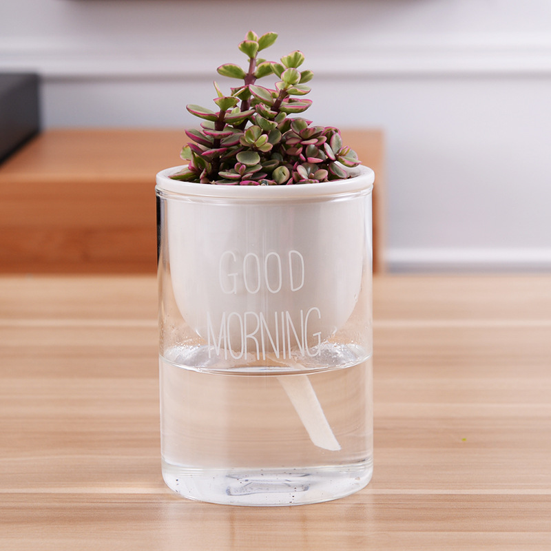 1pc Automatic Watering Planter Pot Ceramic Flowerpot with Glass Water Container for Green Plants Succulent Plant Cactus: WL