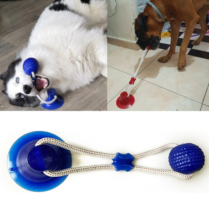 Kong Dog Toys Interactive Suction Cup Push TPR Bal. Grandado