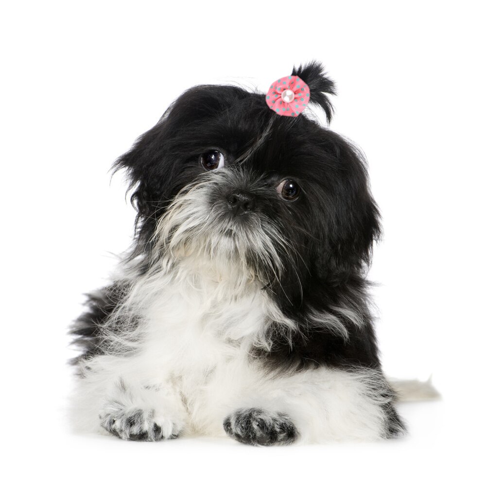 50 stk hundehårklips blomst kjæledyr hund hår sløyfer kjæledyr hår tilbehør hunde hår strikk katt dekorasjons buer honden strikjes