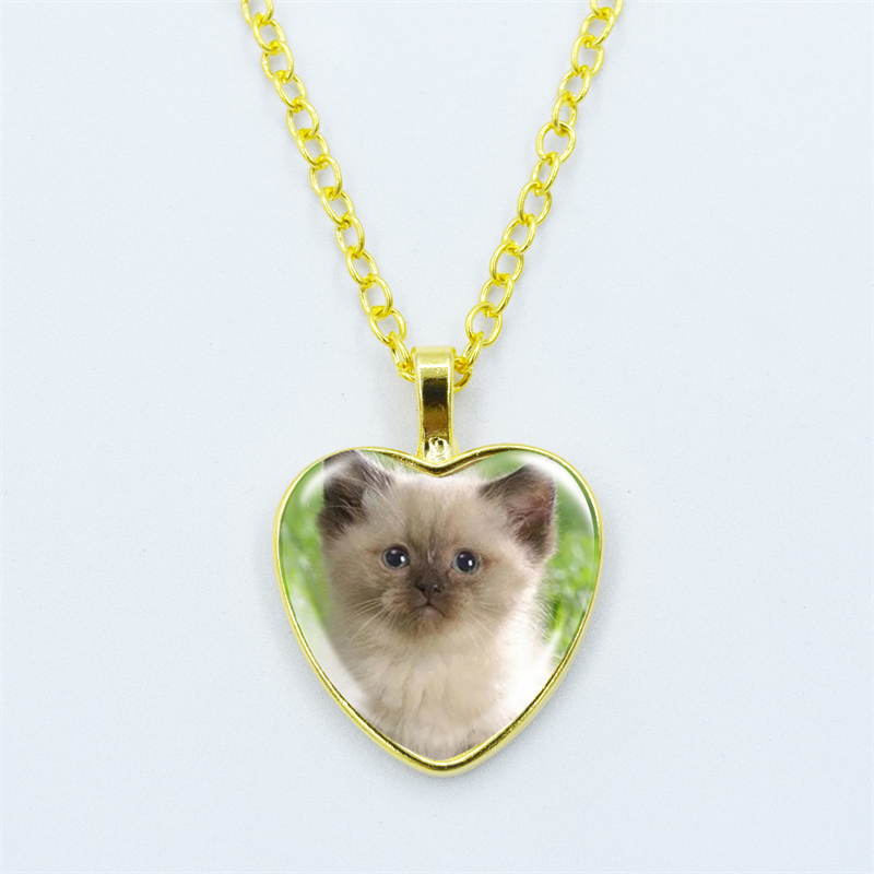 Collar con colgante de corazón de gato para mujer, joyería de cadena fina con cara de gema de cristal y Metal a la , accesorios de para niños: Bañado en rodio de imitación