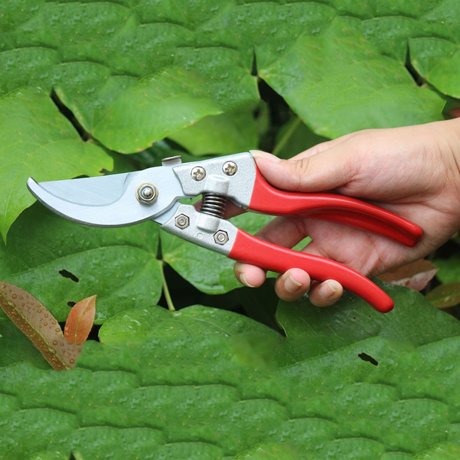 ZJCOSTOL-outils de jardinage SK5 ciseaux d'élagage à coude de jardinage, ciseaux pour bonsaï arbres fleurs, gain de travail, outil de coupe