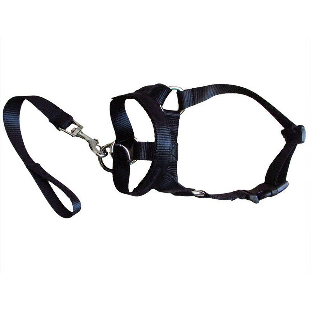 Au Dogalter Hond Halter Halti Training Hoofd Kraag Gentle Leader Harnas Nylon: Black / S