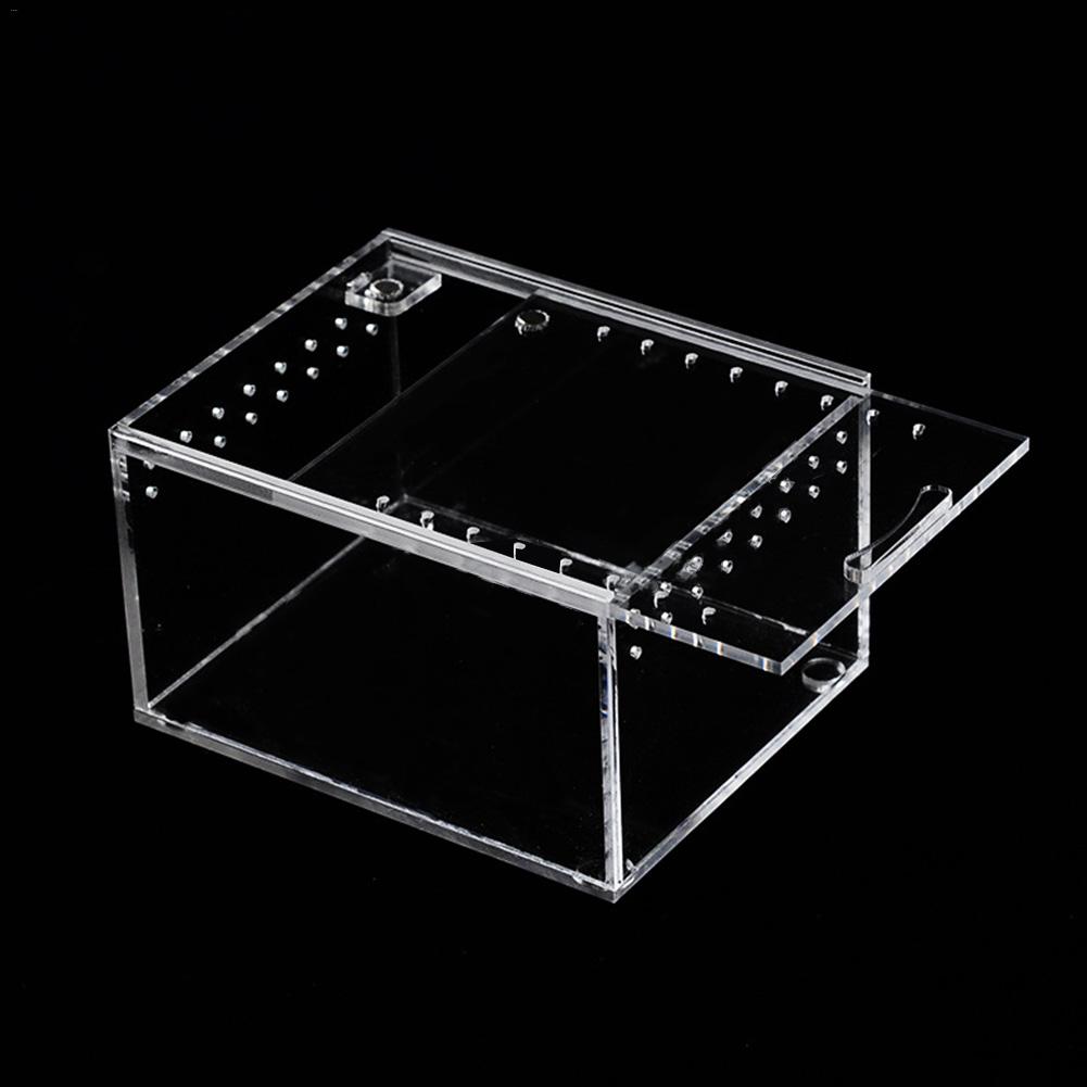 Reptile Breeding Box Acrylic Transparent Sliding Cover Reptile Tank Insect Spiders Tortoise Lizard Feeding Box Terrarium: M