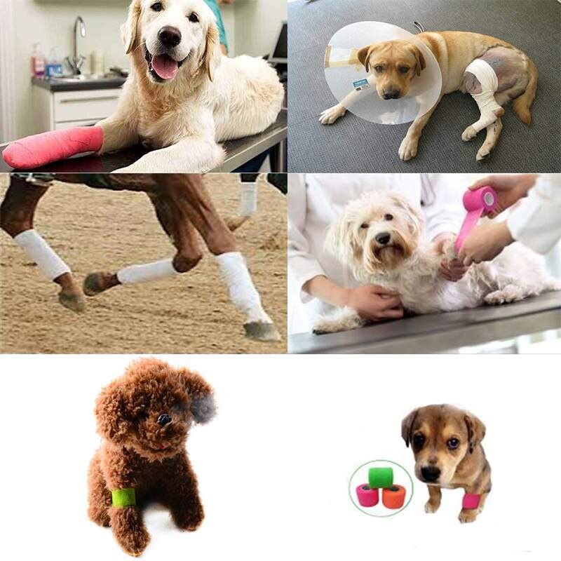 chien chien chat enveloppement de Bandage pour animaux Pet non-tissé avec adhéré pied bandage,10 cm/3.94