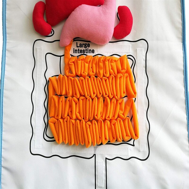 1Pc 4-7 Inch Kinder Spielzeug Musical Instruments Band Percussion Pädagogisches Musikalisches Spielzeug Für Kinder JK879315