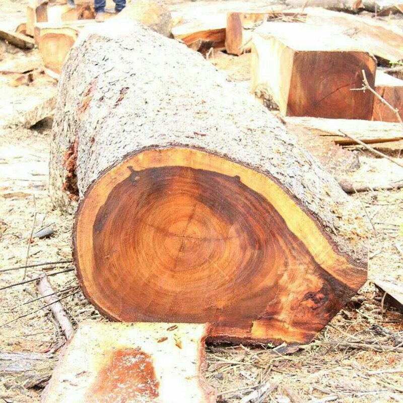 Anel vikings nórdico para homens e mulheres, anel em aço inoxidável de amuleto para homens e mulheres presente de joias,