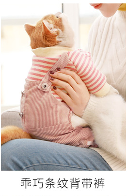Sweet Cat Dresses Christmas Outfit Animal Clothes Sphynx Cats Wear Costume Vestido Para Gatitos Cats-clothes OO50QZ