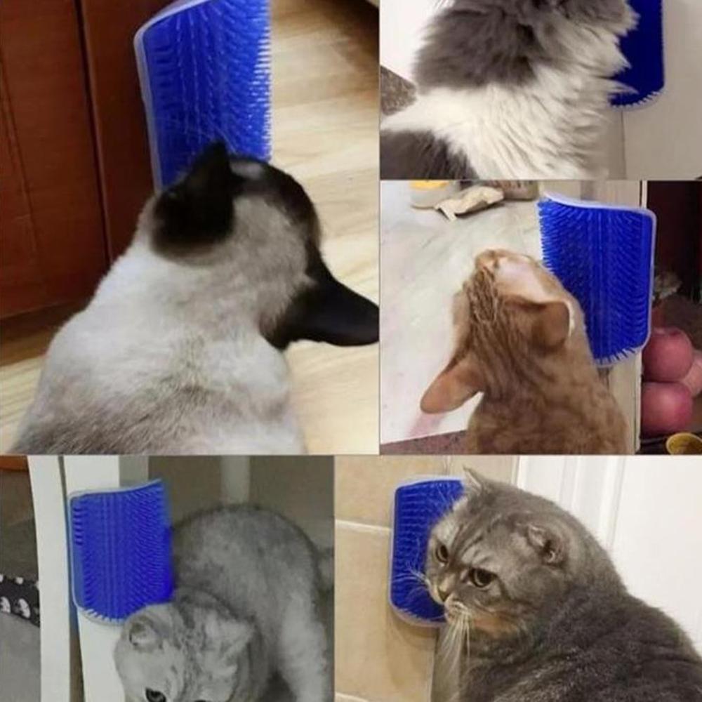 Instrumento de aseo Gato para herramientas para el cuidado de mascotas, depilación de perros, cepillos de pelo de gato, recortadores de pelo fornecimentos de mascotas