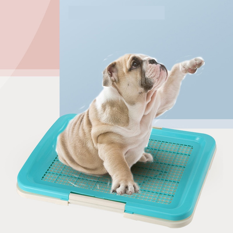 Bac à sable en plastique pour animaux domestiques, grand plateau de toilette pour chiens, chaton, litière, remplissage fermé, sable pour auto-nettoyage, fournitures pour animaux