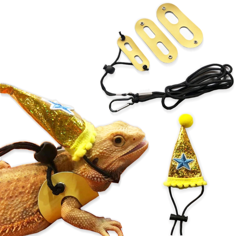 Bearded Dragon Birthday Hat Leash and Harness from Baby to Juvenile Adjustable Leather Lizard Walking Leash S M L 3 Pack