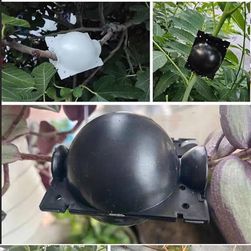 5PCS Instant Ball Air Layering Propagation Cutting Reusable Garden Grafting Transparent Botany Controller Plant Root Growing Box