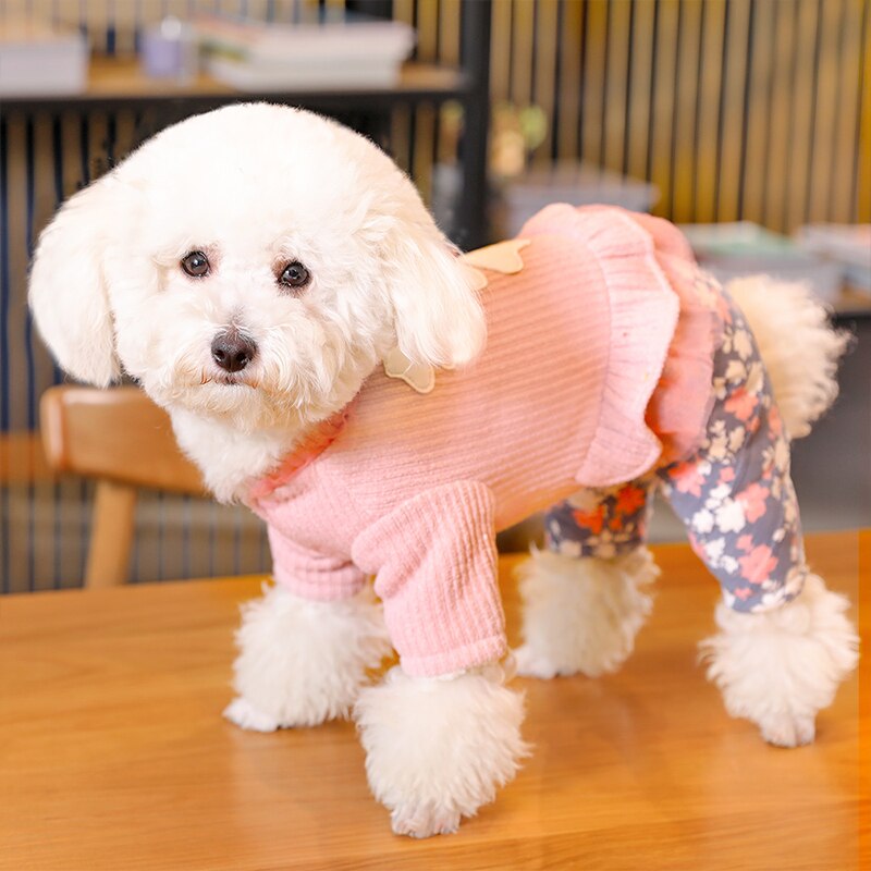 Ropa HOOPET para perros, monos para perros, ropa para cachorros y gatos, abrigo para perros, ropa para perros Chihuahua